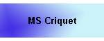 MS Criquet
